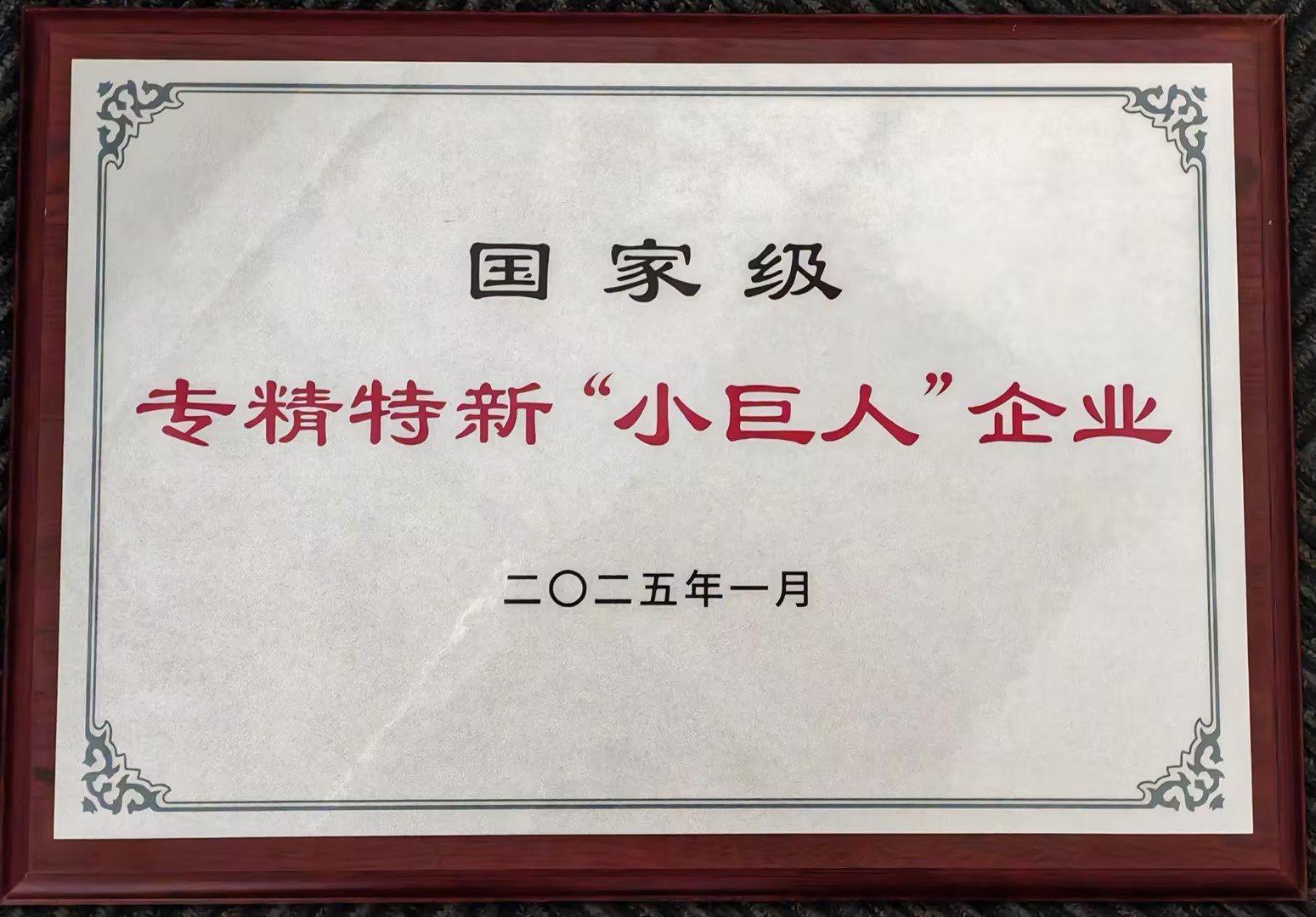 國家級專精特新“小巨人”企業(yè)(1)
