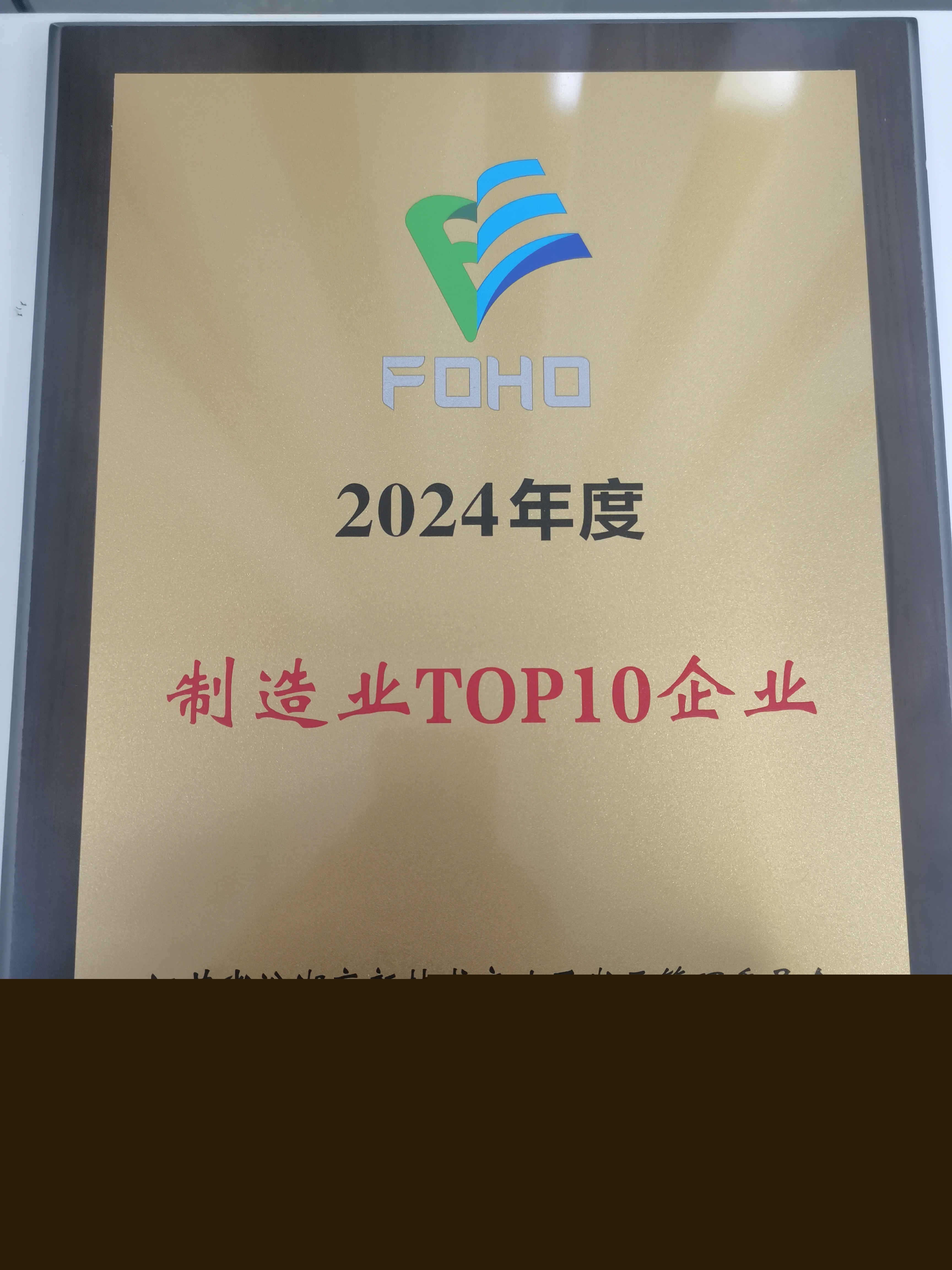 2024年度制造業(yè)TOP10企業(yè)(1)