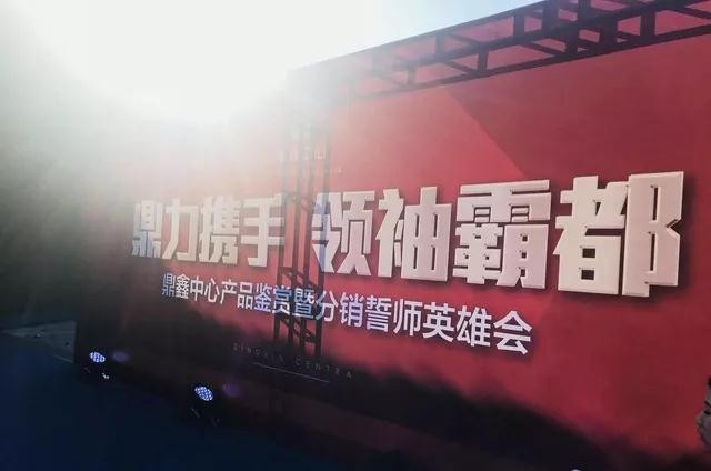 鼎力攜手，領(lǐng)袖霸都！合肥鼎鑫中心產(chǎn)品鑒賞暨分銷誓師英雄會圓滿落幕！
