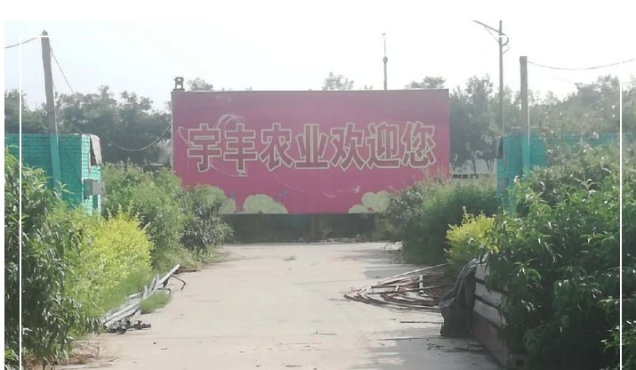 建一個(gè)市場(chǎng)、興一方產(chǎn)業(yè)、富一方百姓，孝義農(nóng)產(chǎn)品大市場(chǎng)產(chǎn)供銷一體化在行動(dòng)！
