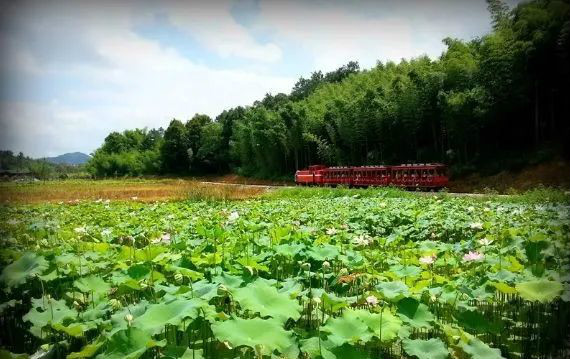 農業(yè)農村部：預計未來5到10年，農業(yè)農村投資需求近15萬億元