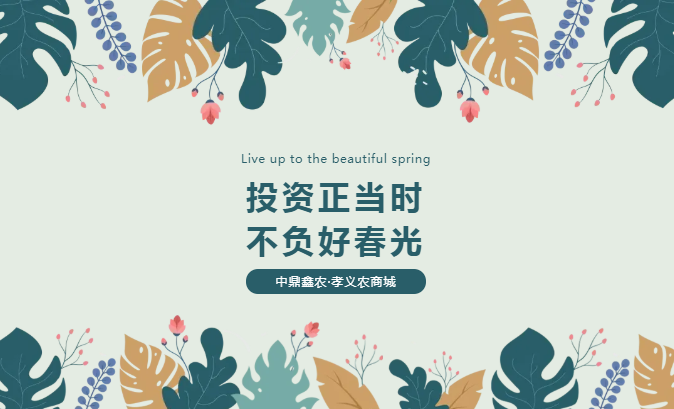孝義唯一大產(chǎn)權(quán)的農(nóng)批商鋪，投資有保障！